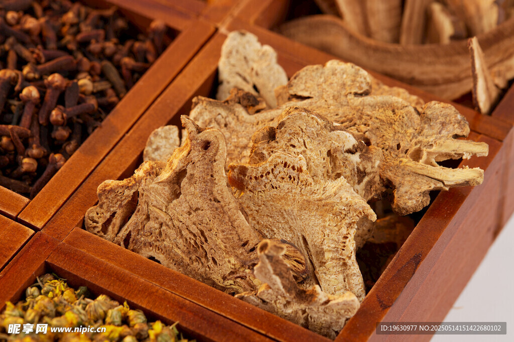 精选中药材展示