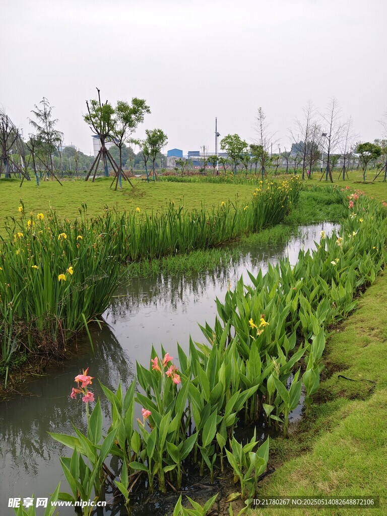 田园小河畔的自然景致