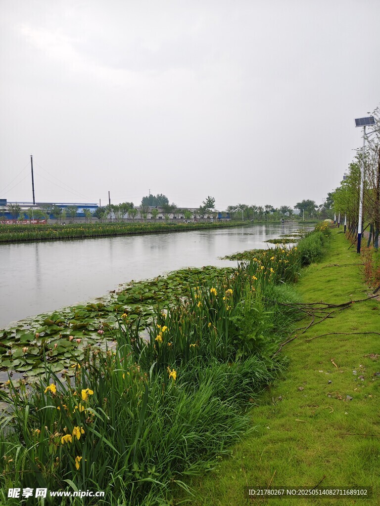 河畔绿草繁花风景如画