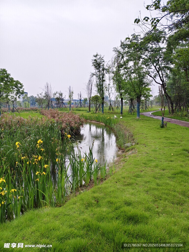 湖畔花草绿地美景
