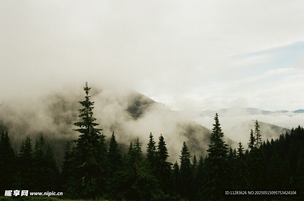 云雾缭绕中的山林美景