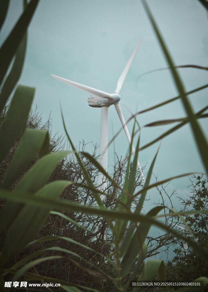 透过绿植看远处风力发电机