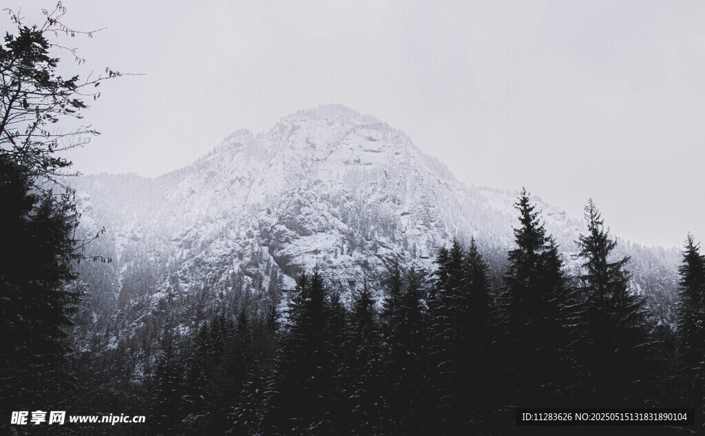 雪覆山峦与林间景致