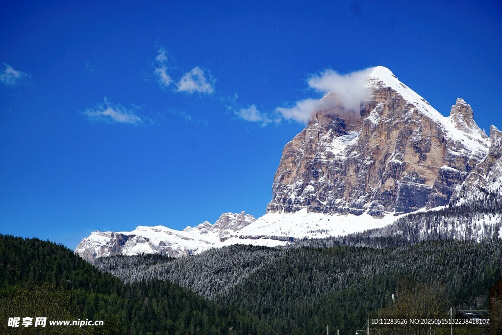 巍峨雪山与葱郁山林美景