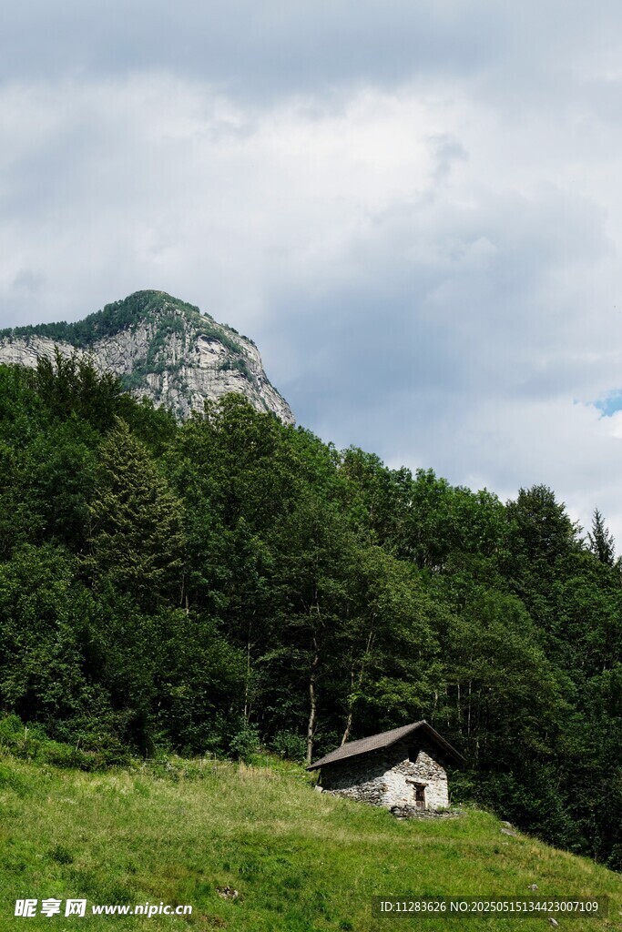 山间小屋隐于葱郁绿意中