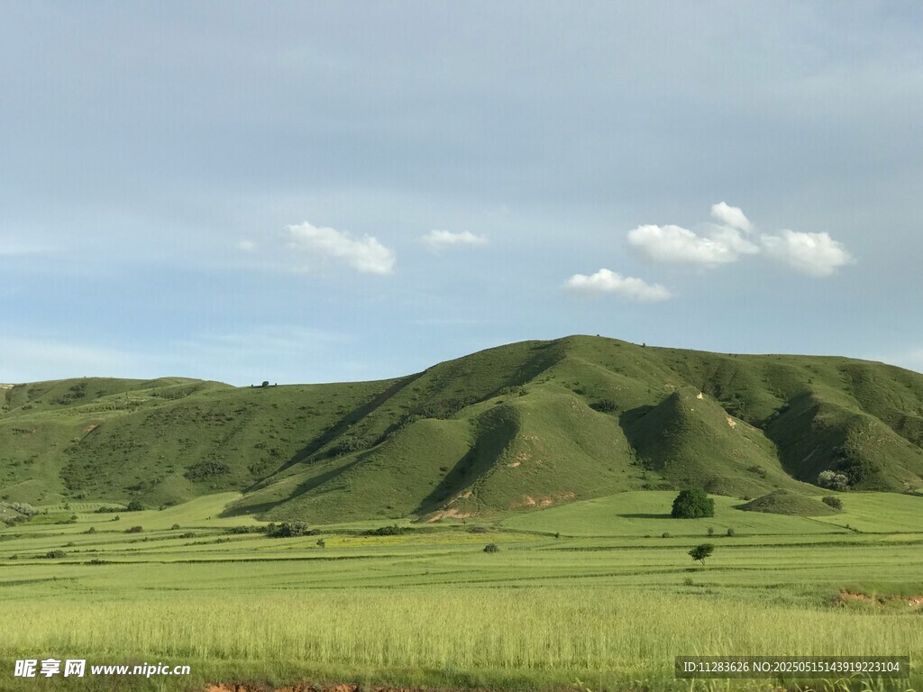 翠绿山丘下的广袤草原