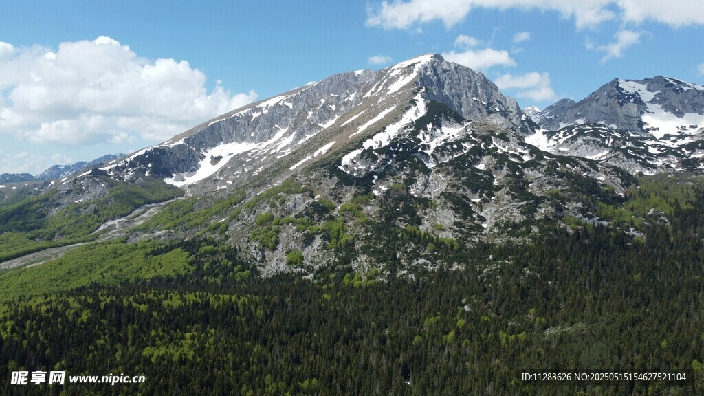 壮丽雪山与葱郁山林景观
