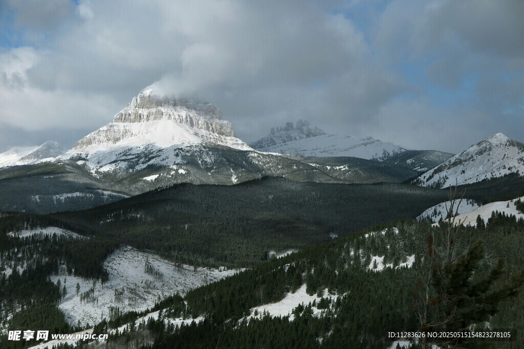 雪山森林壮丽自然景观