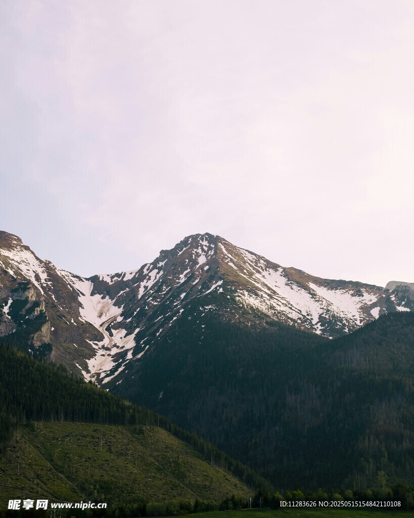 雪山绿意美景