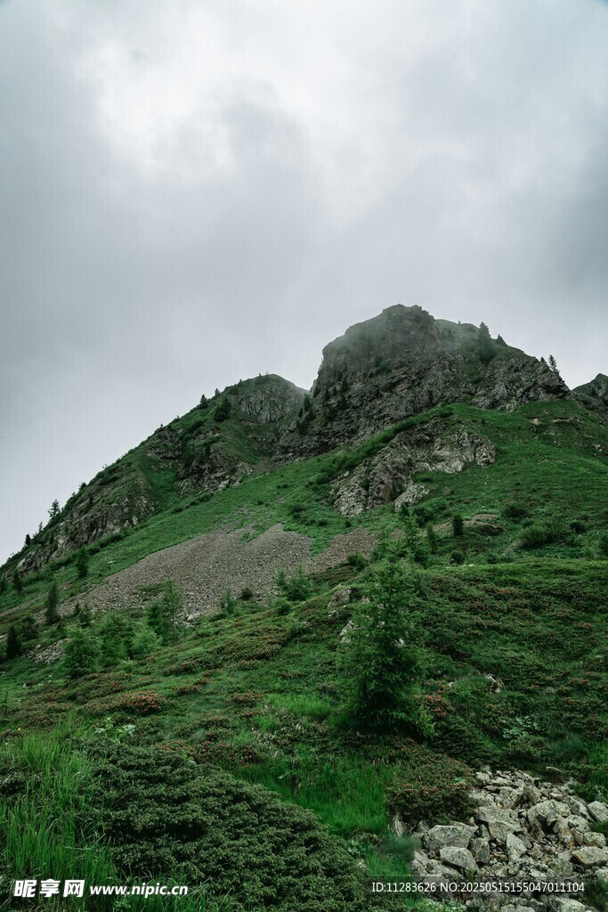 云雾缭绕的翠绿山峰