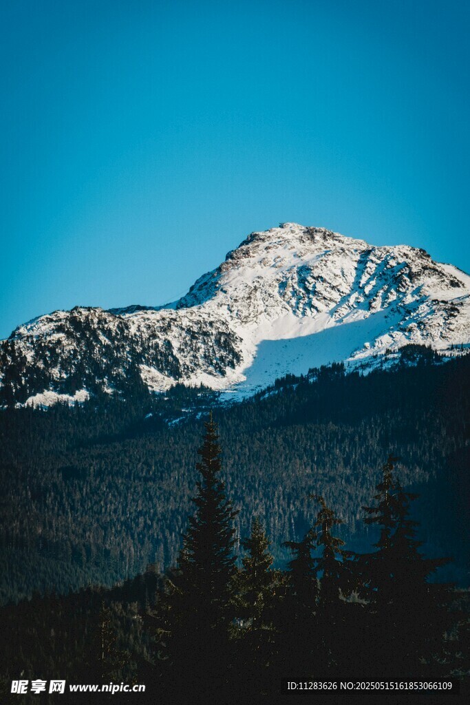 雪山远景 山林相伴