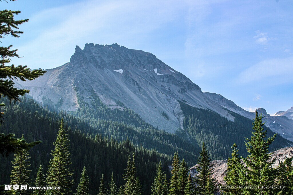 巍峨山峦与葱郁森林景观