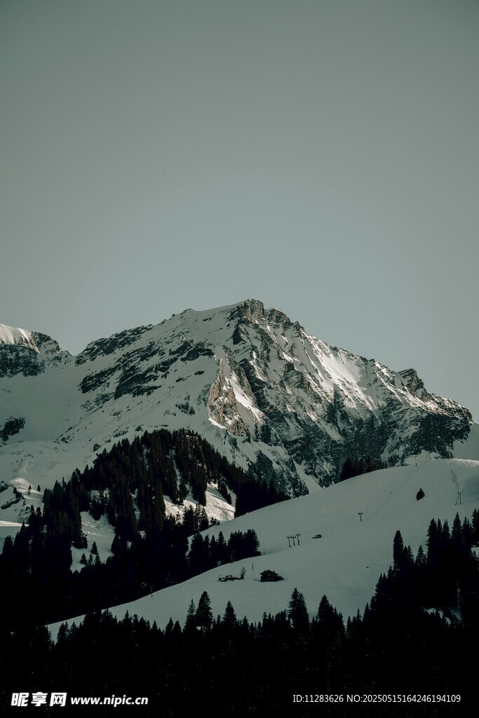 雪山风光 山林相伴