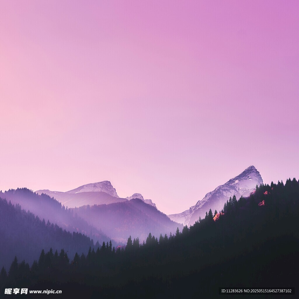 梦幻紫调山林暮色景观