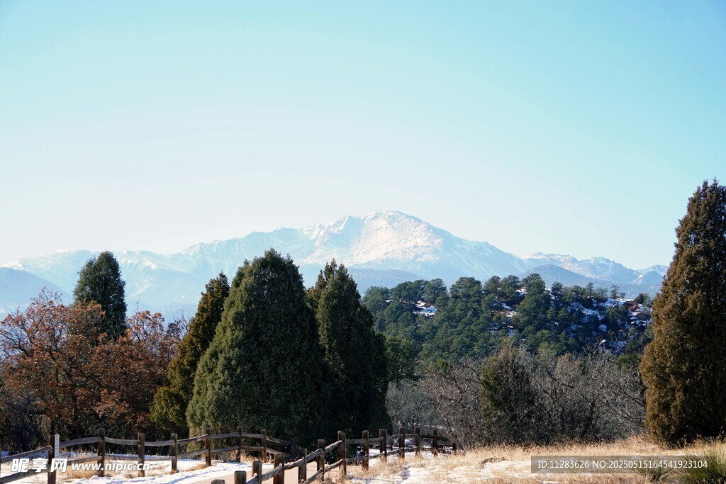 山林远景中的葱郁树木