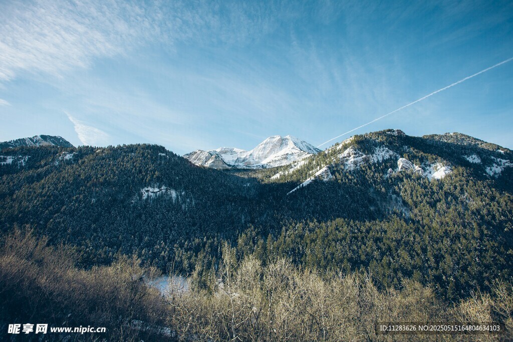 雪山下的葱郁山林