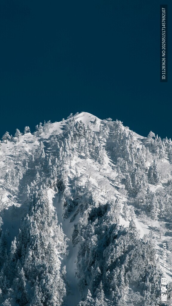 巍峨雪山壮丽景致