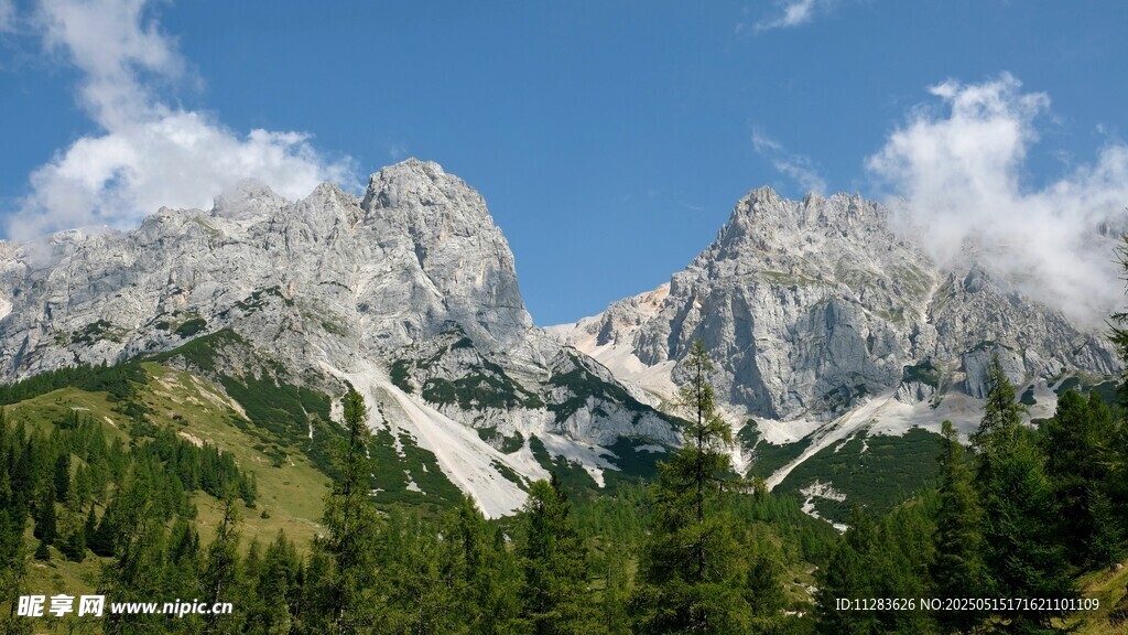壮丽高山与葱郁森林景观