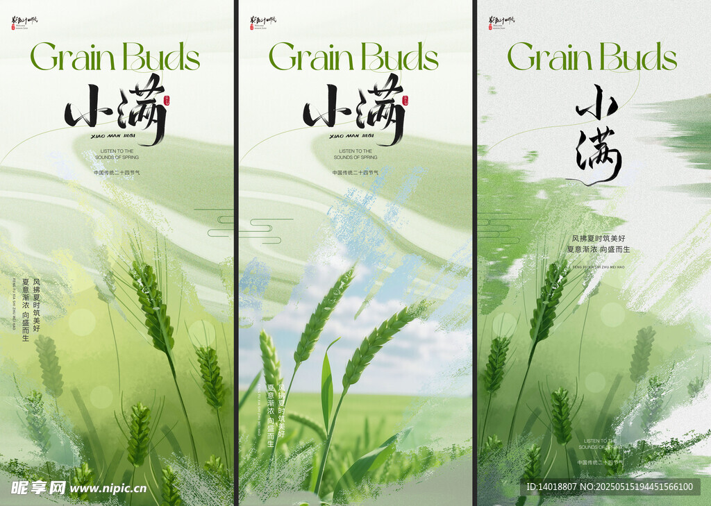 小满节气海报