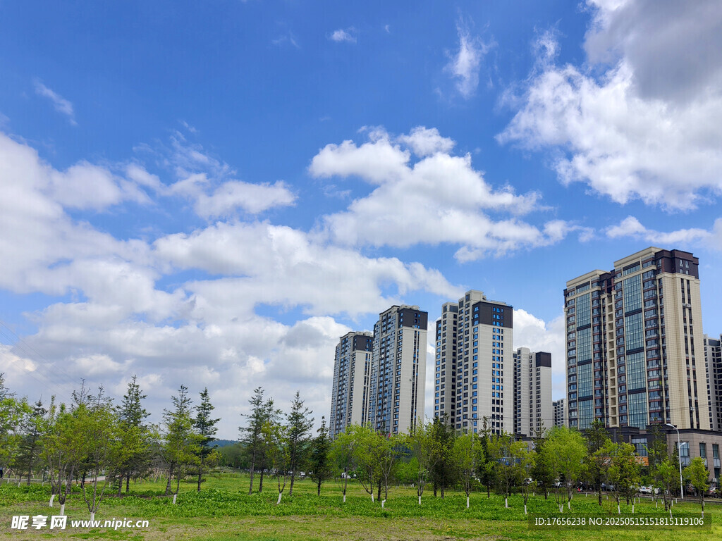 城市绿地旁的高楼景观