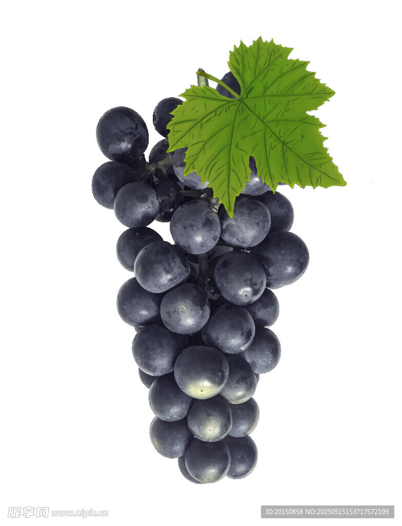 一串紫葡萄带绿叶
