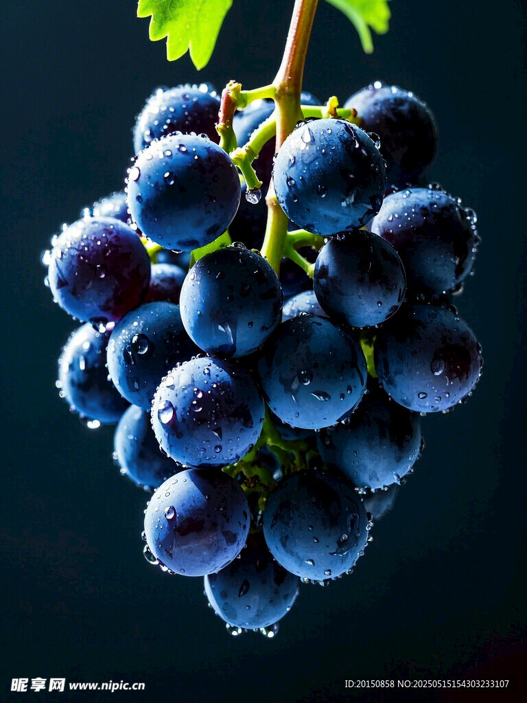 一串饱满的紫葡萄