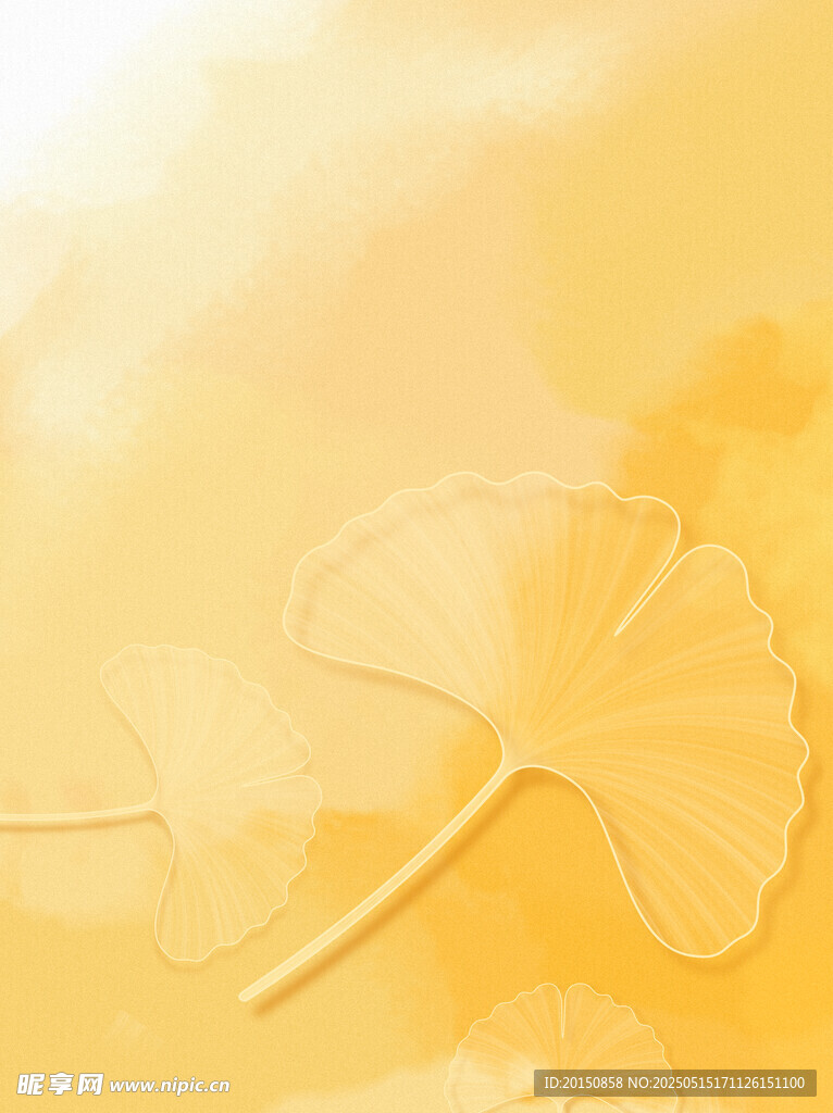 金黄银杏叶 诗意秋日景