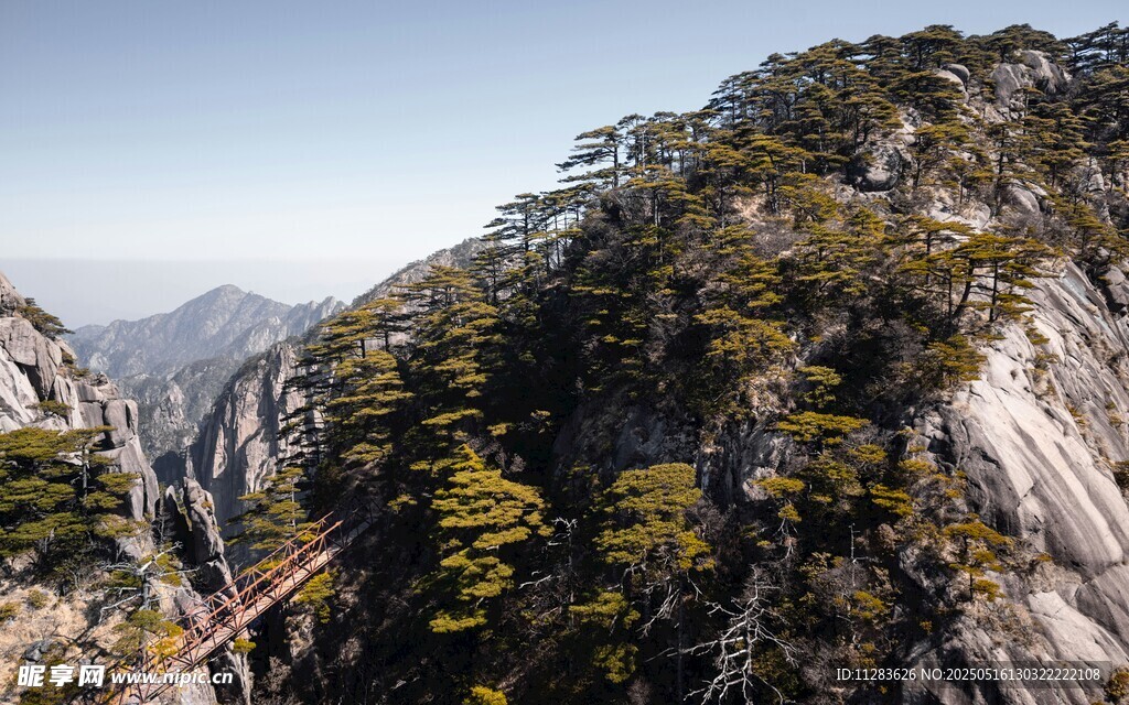 峻峭山峰上的葱郁植被