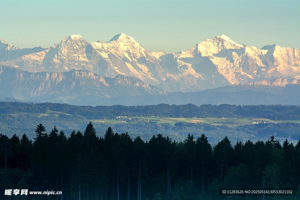 雪山下的森林壮丽景观