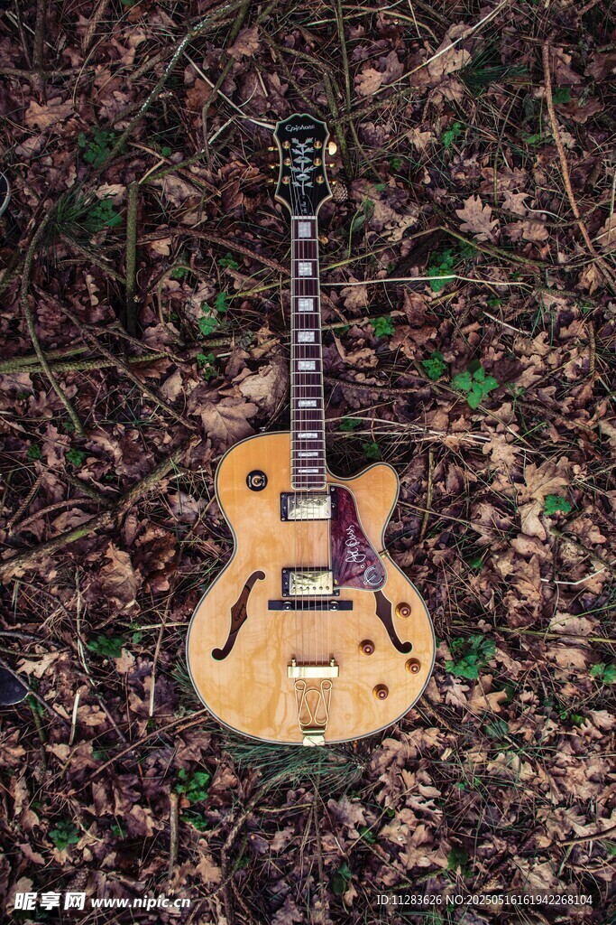 地上的复古风格电吉他