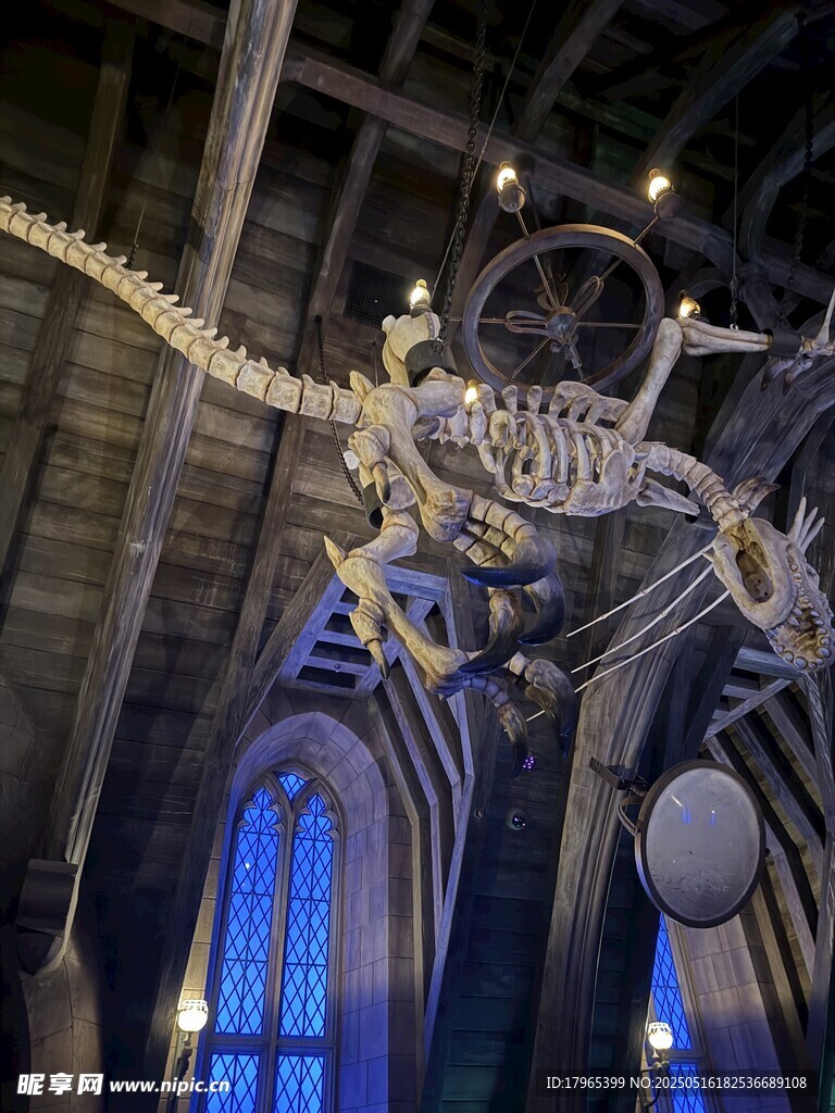 环球影城恐龙骨架