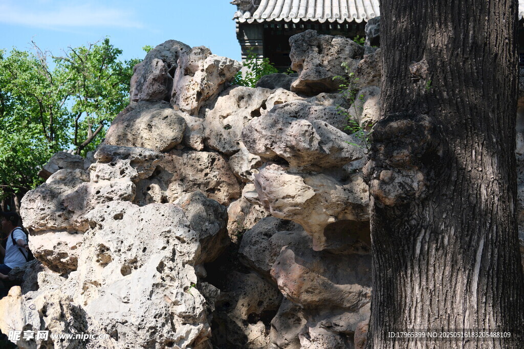 园林假山景观一角