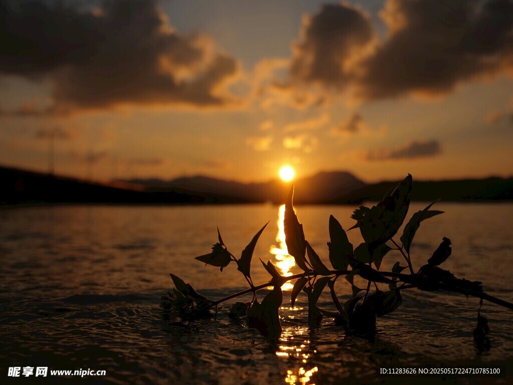 夕阳下水面上的船只剪影