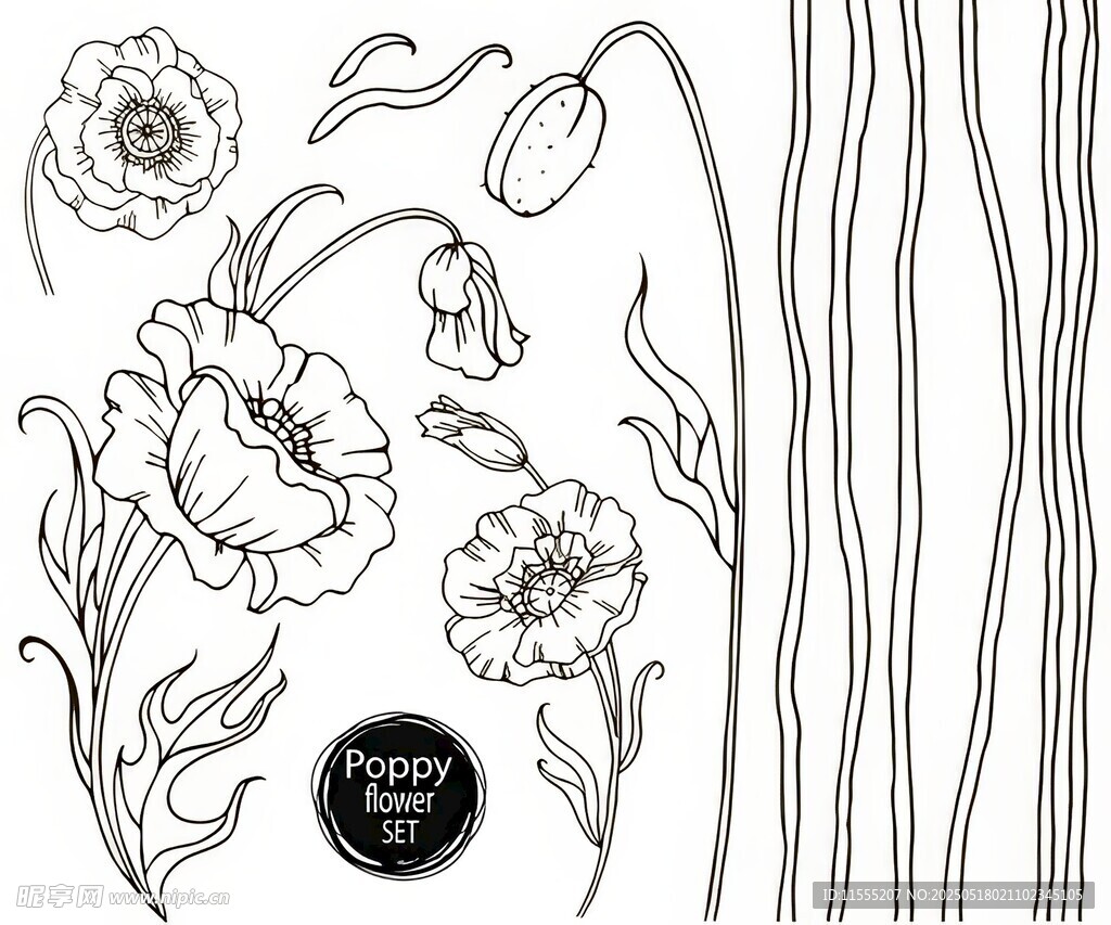 花卉线条图案设计素材