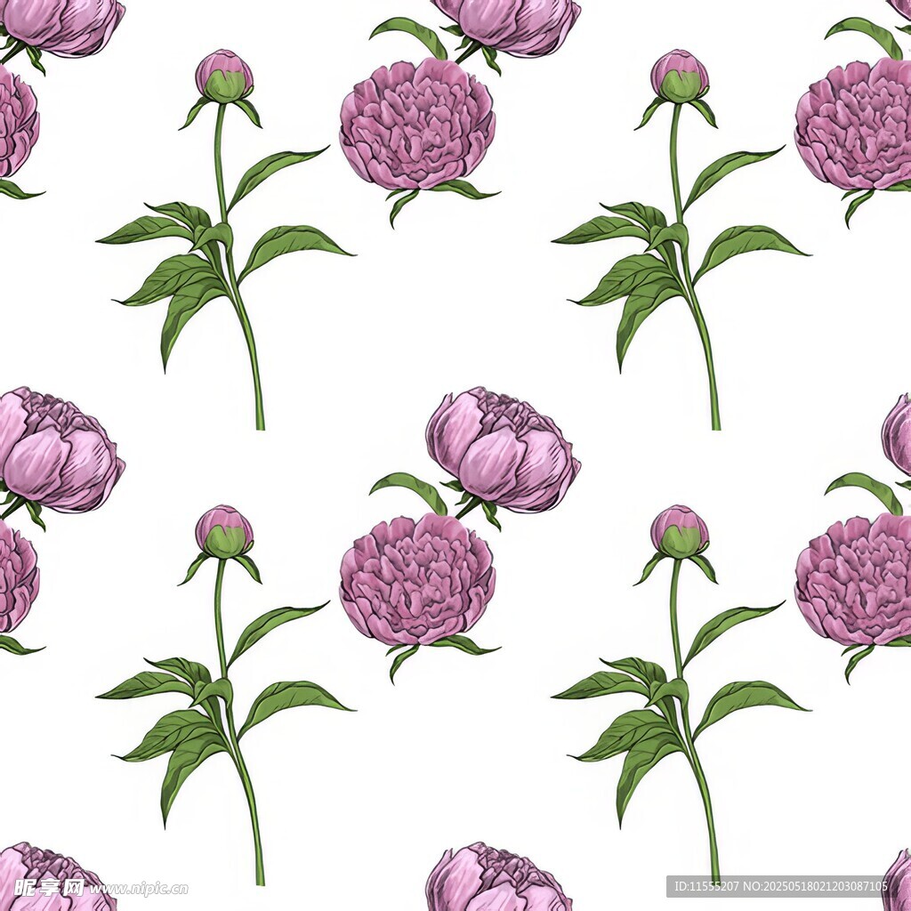 紫色牡丹花无缝图案背景