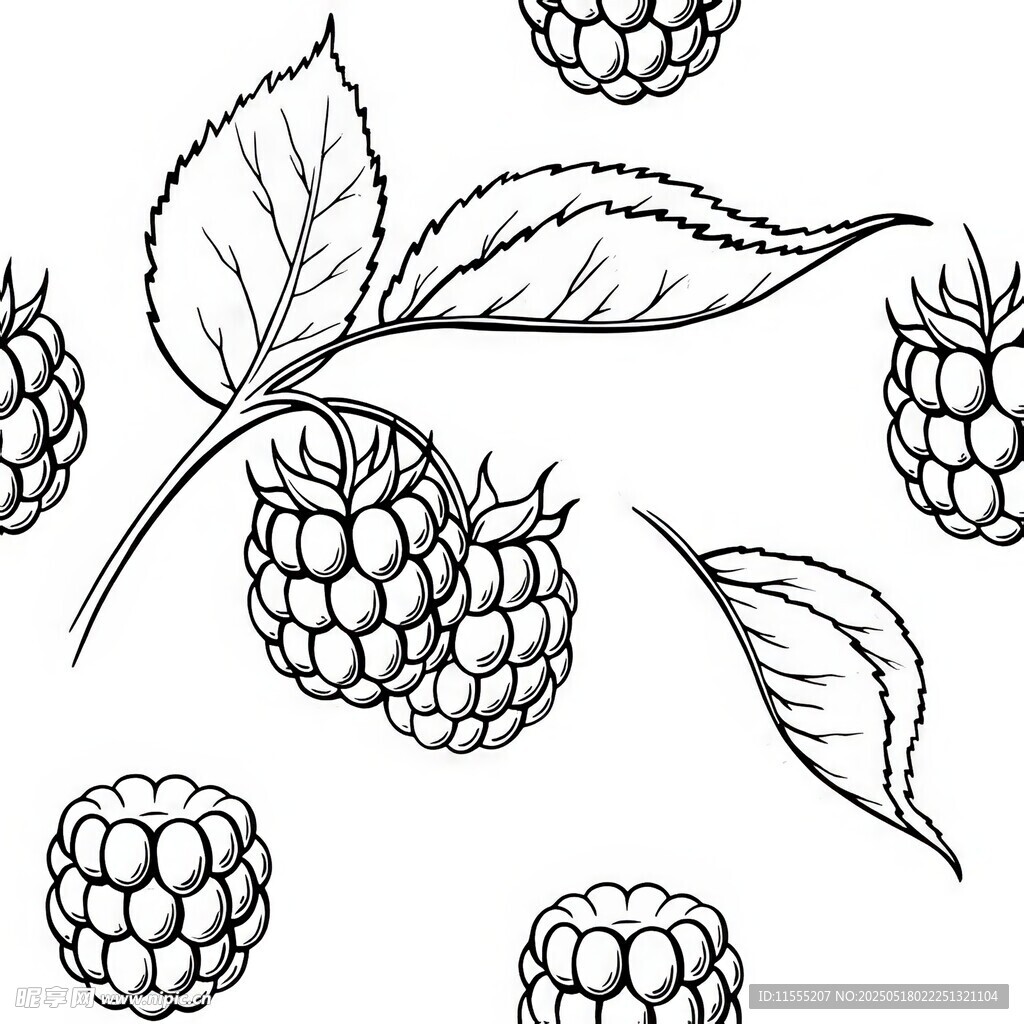 手绘树莓与叶片插画