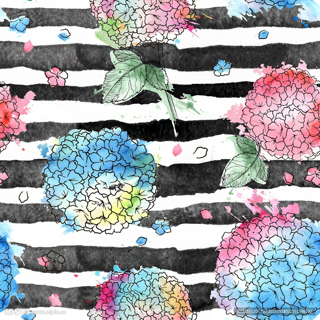 黑白条纹背景的水彩绣球花