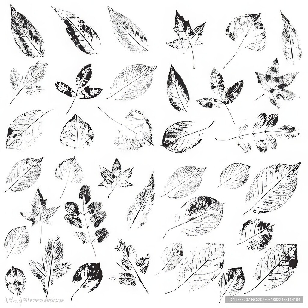 手绘黑白树叶图案集合