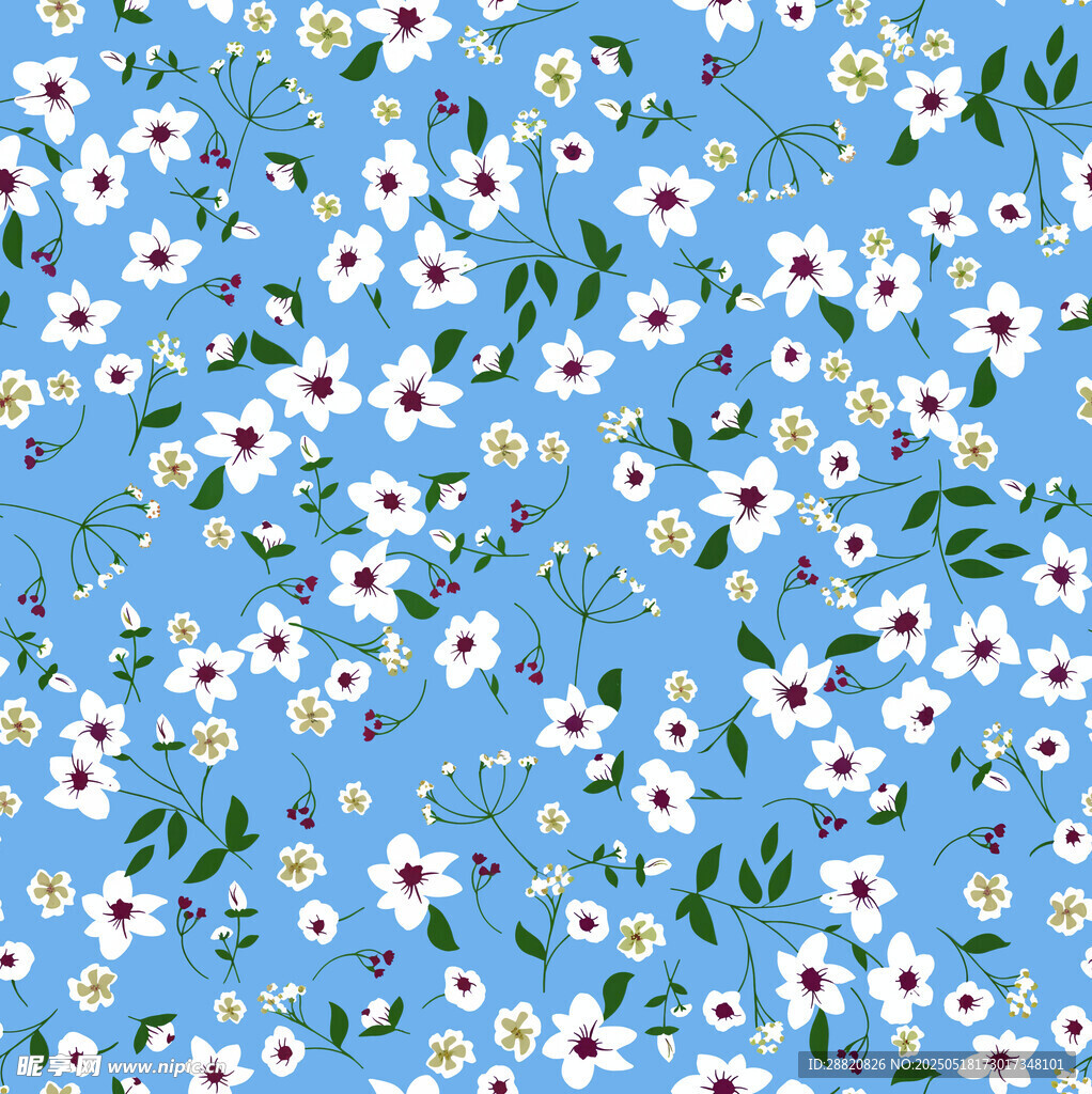 蓝色背景小雏菊花卉图案