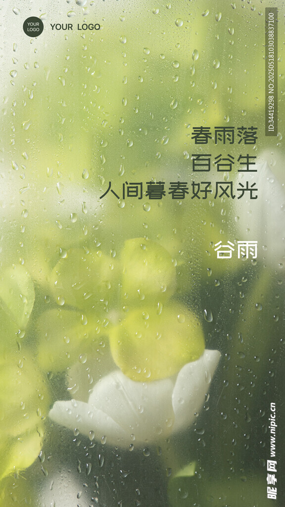 谷雨