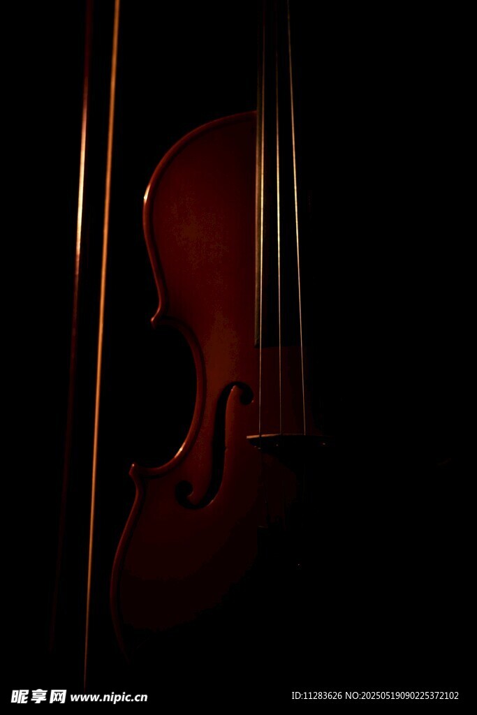 神秘氛围中的红色小提琴