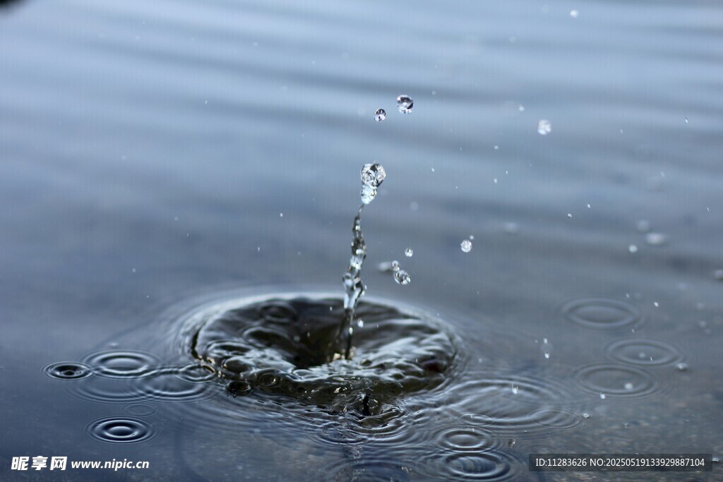 雨滴入水溅起美丽水花