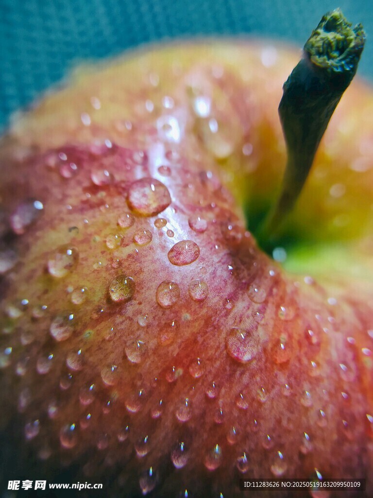 带水珠的红苹果特写