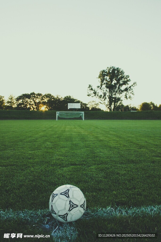 绿茵场上的孤独足球
