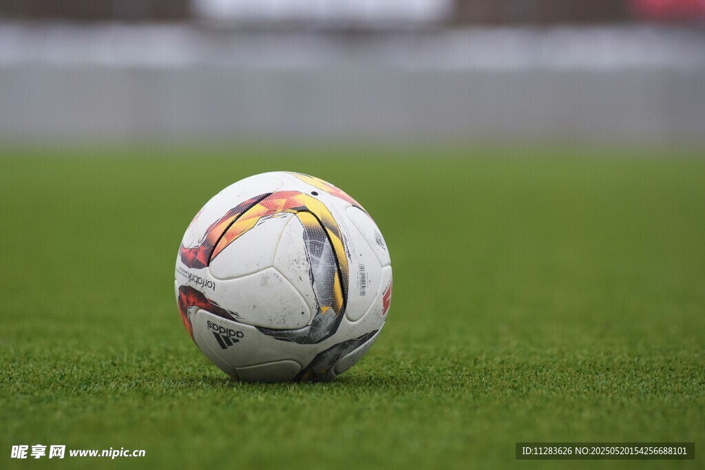 绿茵场上的多彩足球