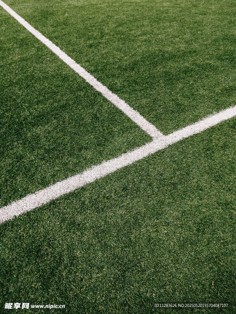 绿茵场上的白色标线