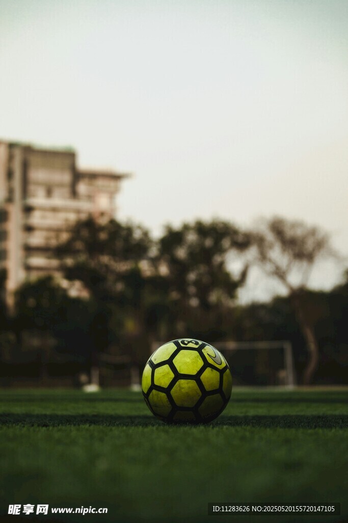 绿茵上的亮眼足球
