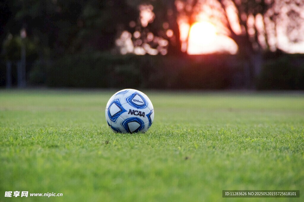 夕阳下绿茵场上的足球