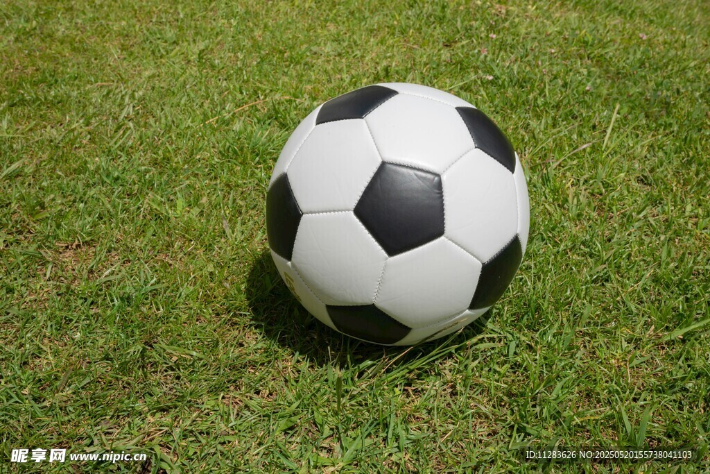 绿茵上的足球