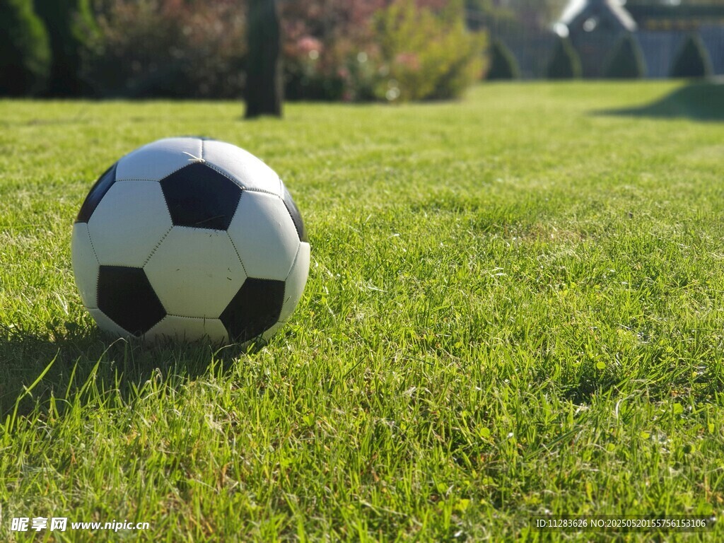 绿茵上的足球